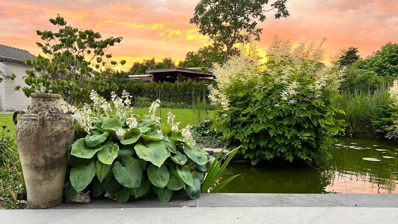 Ikigai Bed & Breakfast Oud-Turnhout Bagian luar foto
