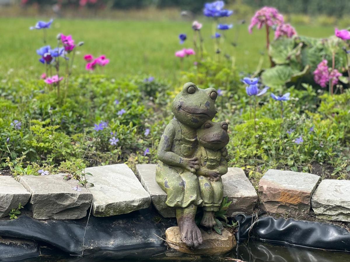 Ikigai Bed & Breakfast Oud-Turnhout Bagian luar foto