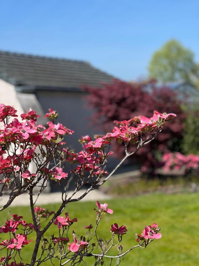 Ikigai B&B - Wellness Oud-Turnhout Bagian luar foto