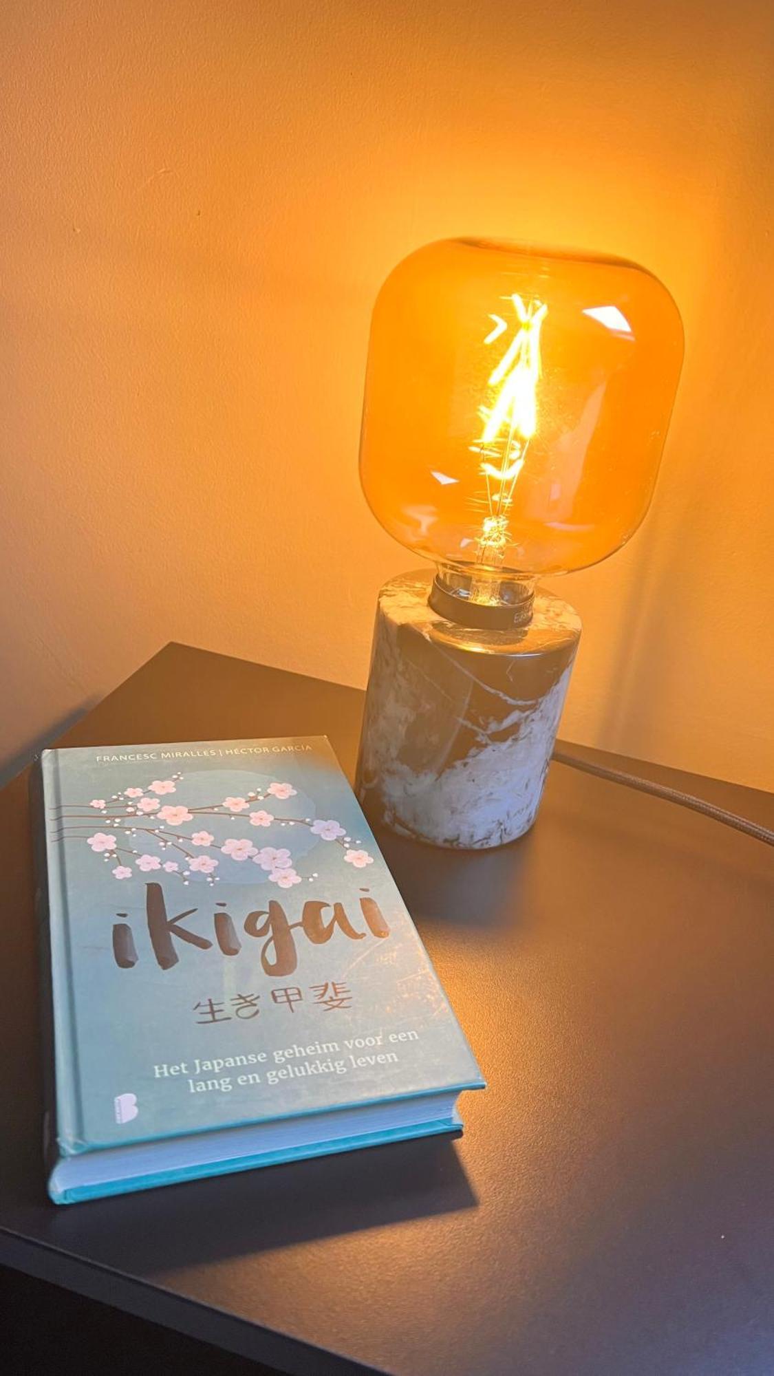 Ikigai Bed & Breakfast Oud-Turnhout Ruang foto