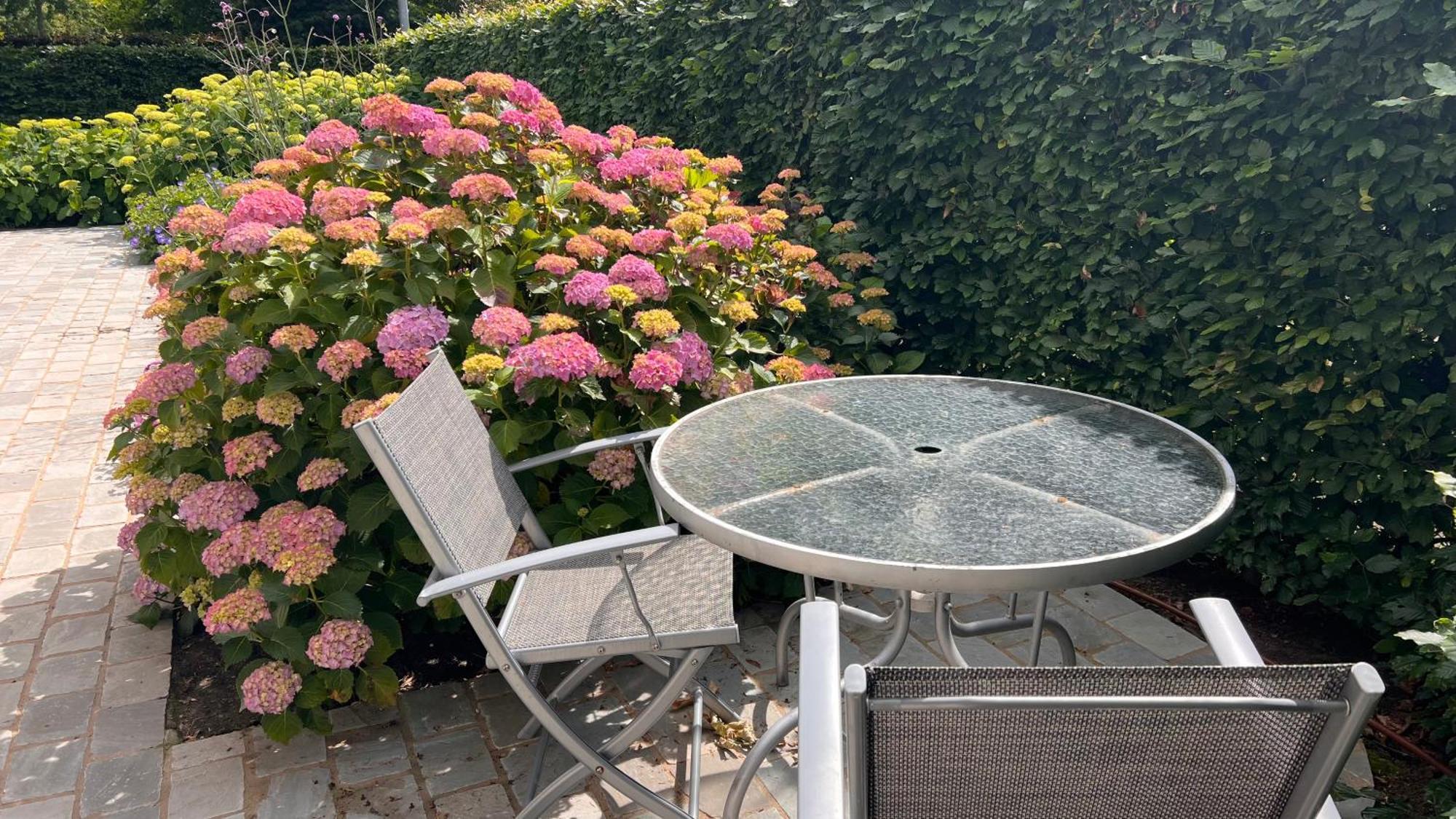 Ikigai Bed & Breakfast Oud-Turnhout Bagian luar foto