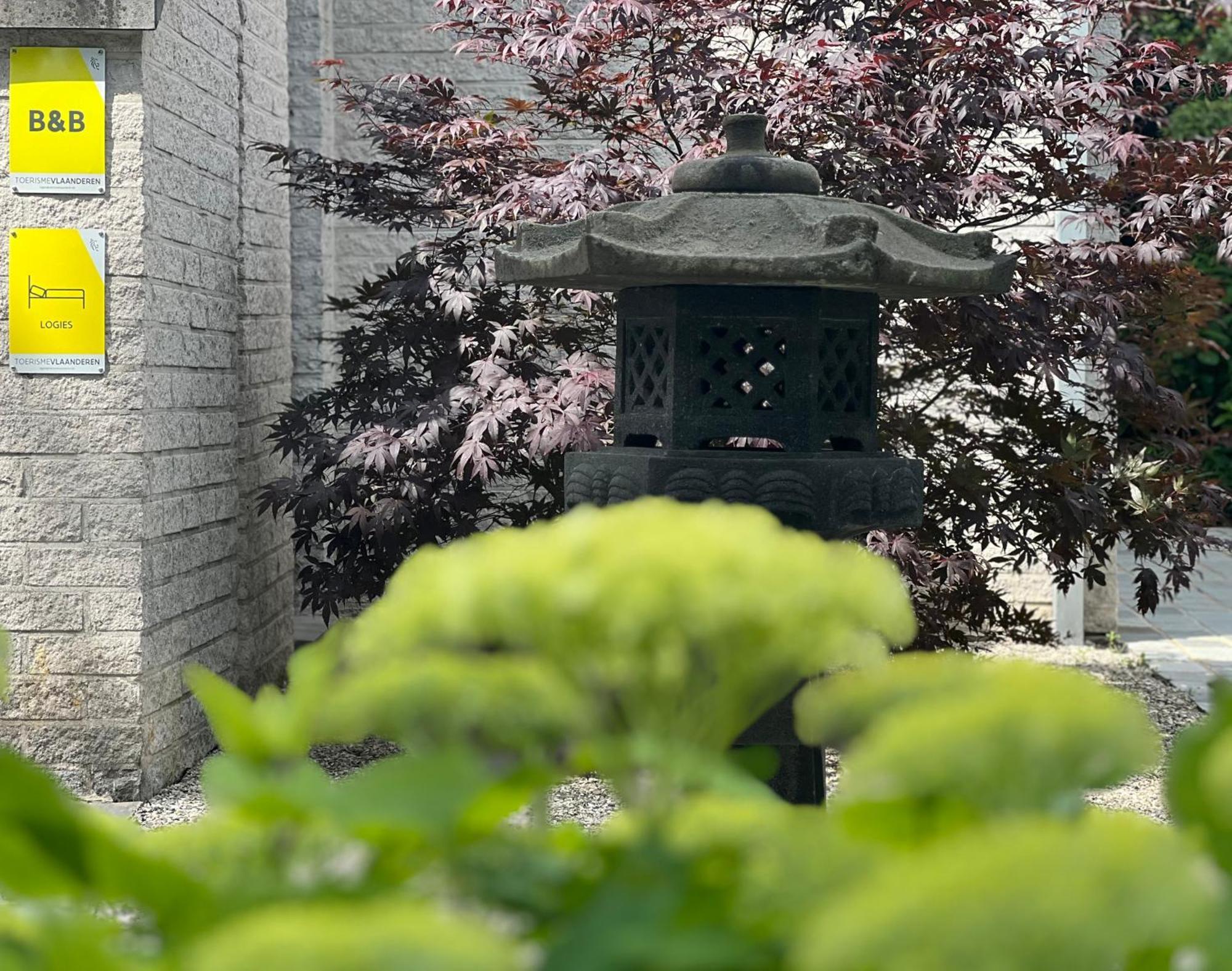 Ikigai B&B - Wellness Oud-Turnhout Bagian luar foto