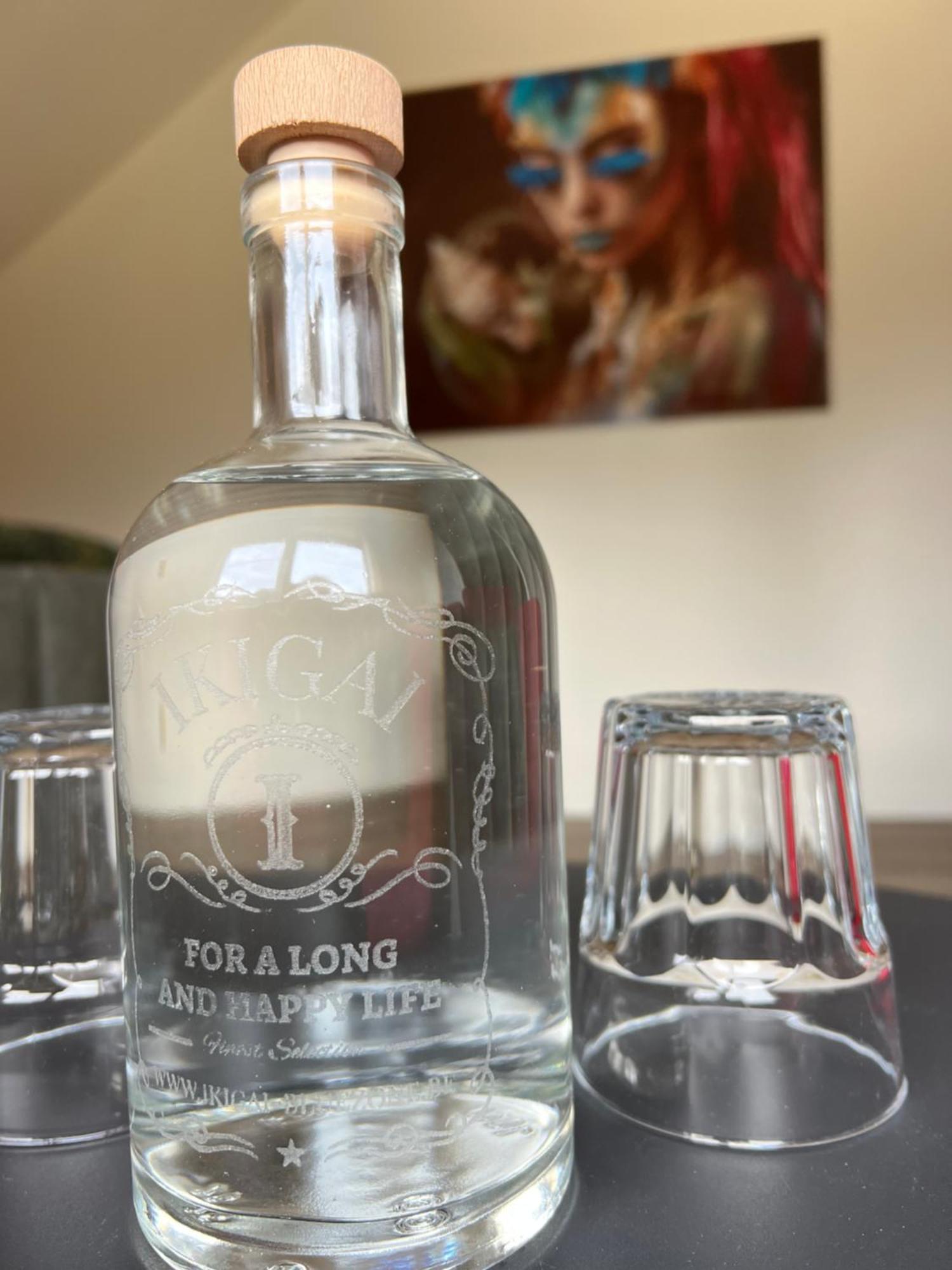 Ikigai B&B - Wellness Oud-Turnhout Bagian luar foto