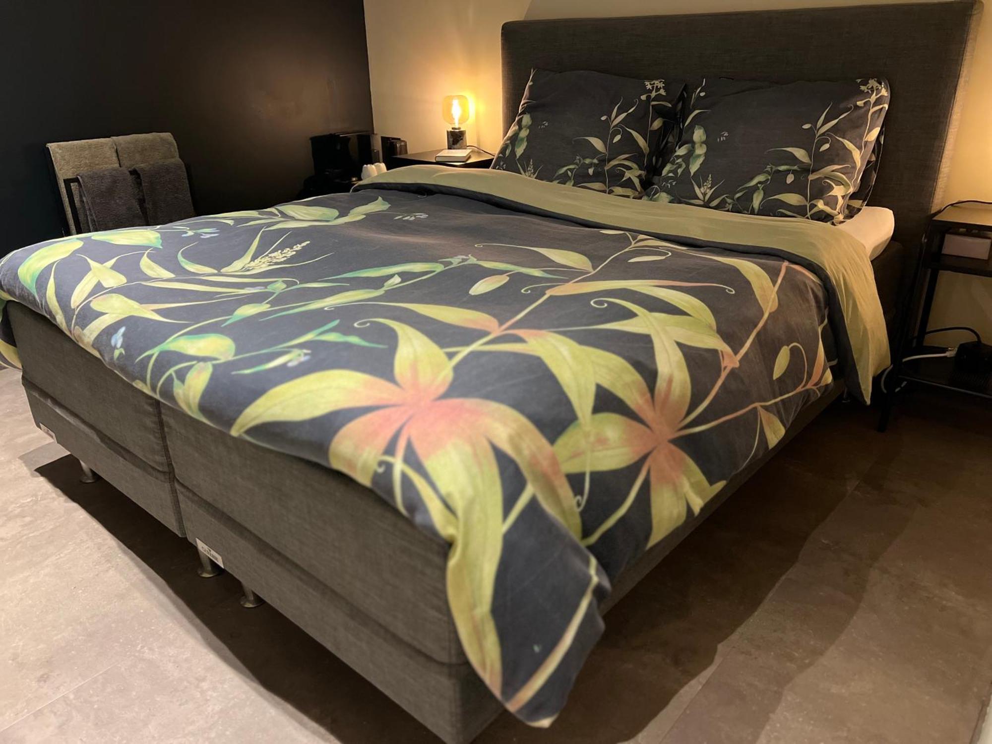 Ikigai B&B - Wellness Oud-Turnhout Bagian luar foto
